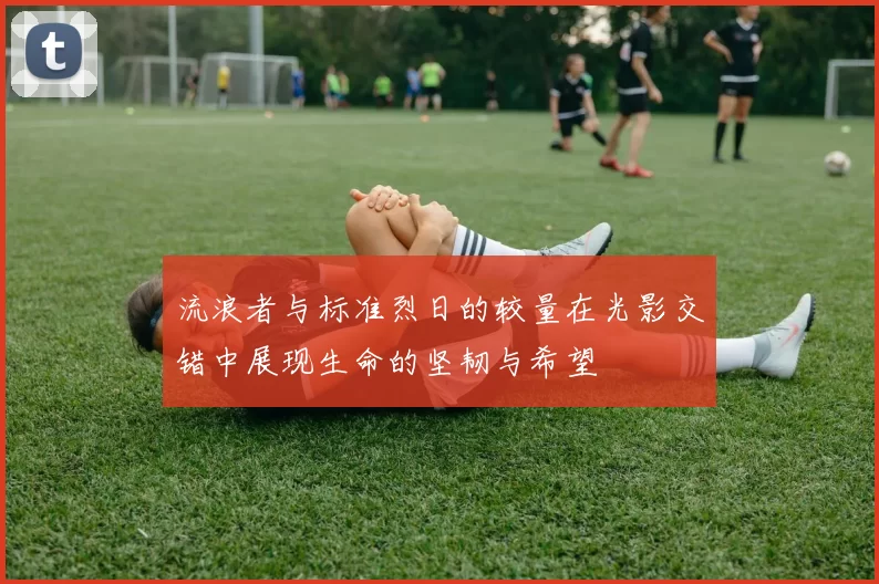 流浪者与标准烈日的较量在光影交错中展现生命的坚韧与希望