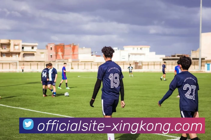 XINGKONG平台生态图