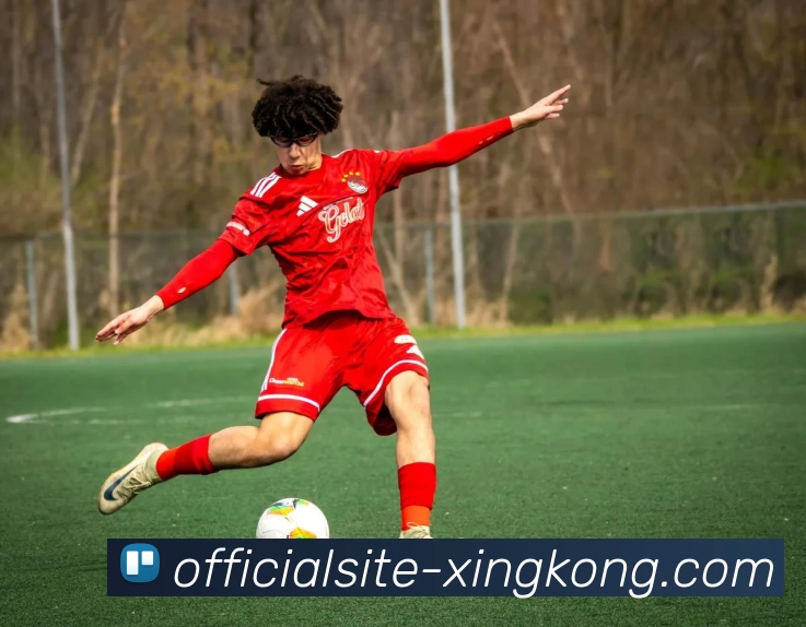 XINGKONGAPP 封面图