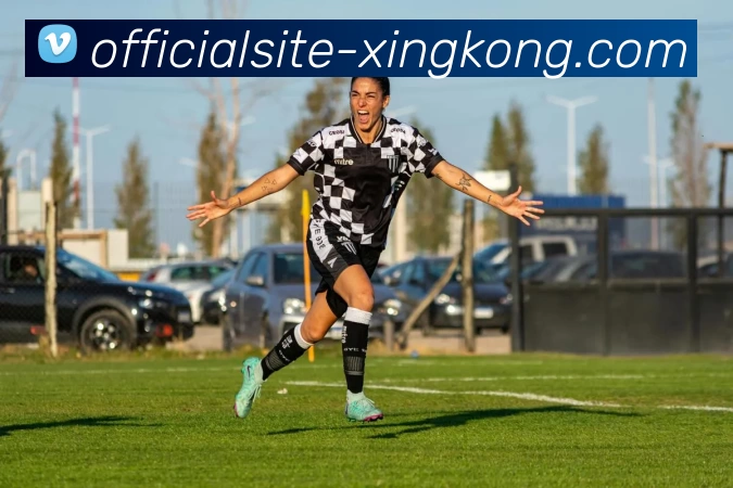 数据防护可视化